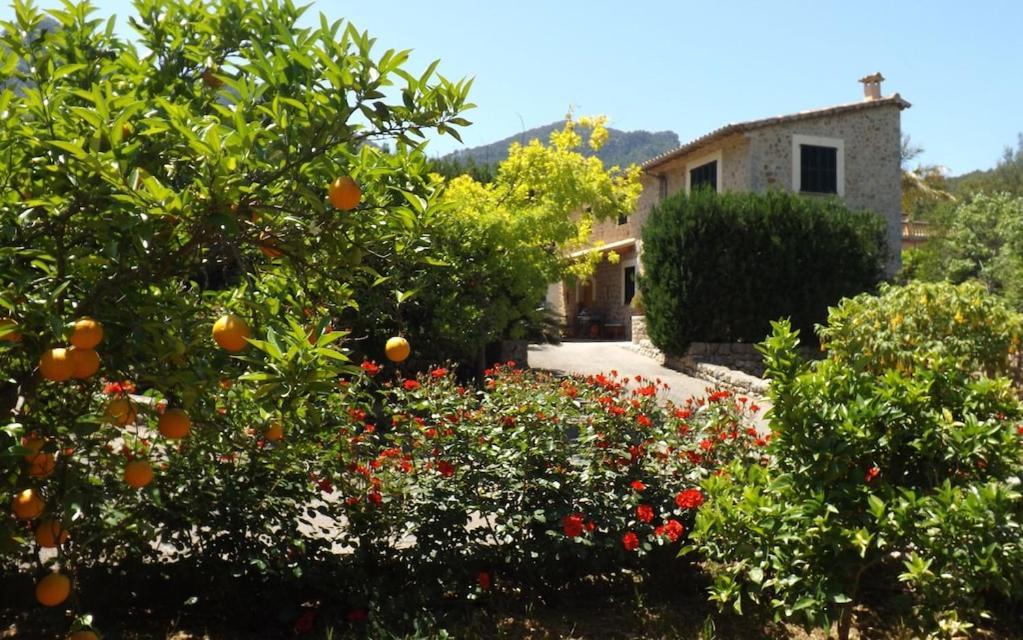 Sa Finqueta, Luxury Elegant Mansion With Breathtaking Views Of Soller Villa Dış mekan fotoğraf